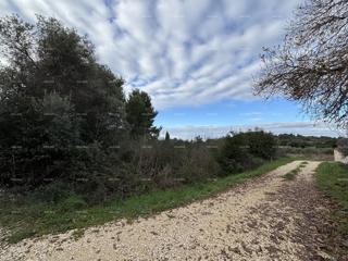 Land - Sale - ISTARSKA - MEDULIN - PREMANTURA