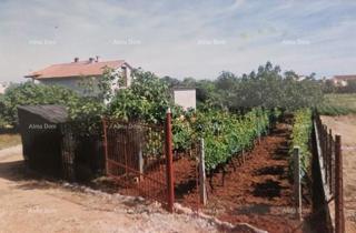 Kuća - Prodaja - ISTARSKA - FAŽANA - VALBANDON