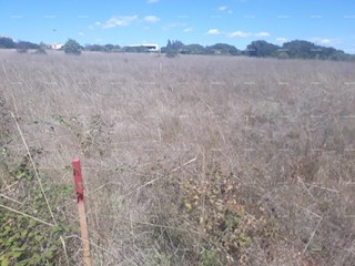 Land - Sale - ISTARSKA - MEDULIN - BANJOLE