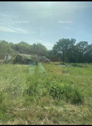 Land - Sale - ISTARSKA - POREČ - POREČ