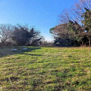 Zemljište - Prodaja - ISTARSKA - VIŠNJAN - VIŠNJAN