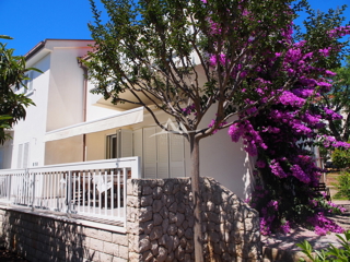 Kuća - Prodaja - ZADARSKA - ZADAR - DIKLO