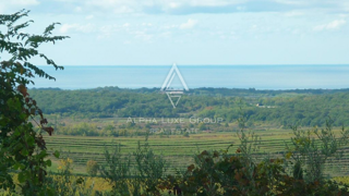 Land - Sale - ISTARSKA - BUJE - BUJE