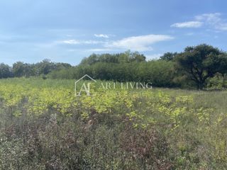 Zemljište - Prodaja - ISTARSKA - UMAG - UMAG