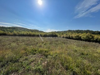 Grundstück - Verkauf - ISTARSKA - BUJE - BUJE