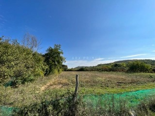 Land - Sale - ISTARSKA - BUJE - BUJE