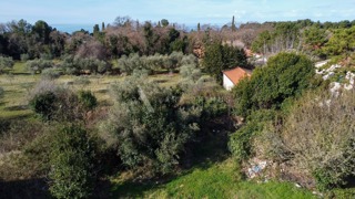 Grundstück - Verkauf - ISTARSKA - UMAG - ĐUBA