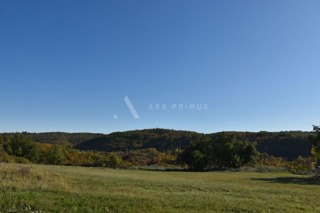 Grundstück - Verkauf - ISTARSKA - BUJE - OSKORUŠ