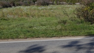 Land - Sale - ISTARSKA - VODNJAN - VODNJAN