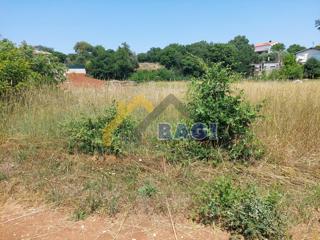 Land - Sale - ISTARSKA - MARČANA - LOBORIKA