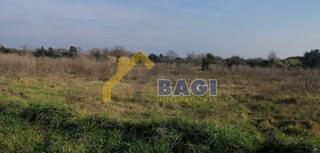 Land - Sale - ISTARSKA - LIŽNJAN - ŠIŠAN