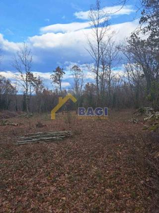 Zemljište - Prodaja - ISTARSKA - TINJAN - KRINGA