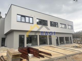 Business premises - Rent - ISTARSKA - NOVIGRAD - NOVIGRAD