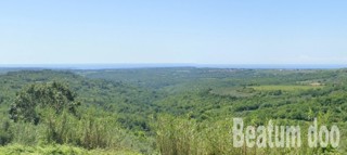 Land - Sale - ISTARSKA - BUJE - KRASICA