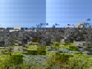 Zemljište - Prodaja - ŠIBENSKO-KNINSKA - VODICE - PRVIĆ ŠEPURINE