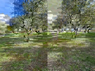 Zemljište - Prodaja - SPLITSKO-DALMATINSKA - KAŠTELA - KAŠTEL NOVI