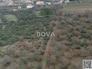 Grundstück - Verkauf - ZADARSKA - POLIČNIK - BRIŠEVO