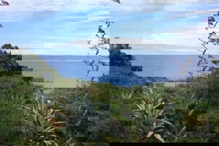 House - Sale - GRAD ZAGREB - ZAGREB - ZAGREB