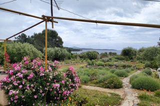 Zemljište - Prodaja - GRAD ZAGREB - ZAGREB - ZAGREB