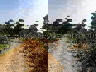 Land - Sale - ŠIBENSKO-KNINSKA - ŠIBENIK - BILICE