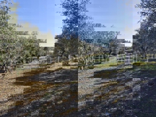 Grundstück - Verkauf - ŠIBENSKO-KNINSKA - SKRADIN - DUBRAVICE