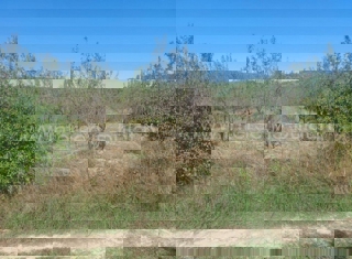 Grundstück - Verkauf - ŠIBENSKO-KNINSKA - SKRADIN - DUBRAVICE