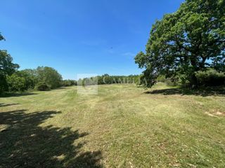 Land - Sale - ISTARSKA - BARBAN - BARBAN