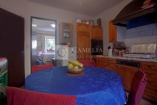 Flat - Sale - ISTARSKA - NOVIGRAD - NOVIGRAD