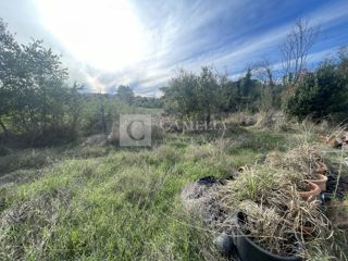 Land - Sale - ISTARSKA - BUJE - KAŠTEL