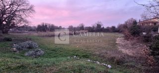 Land - Sale - ISTARSKA - NOVIGRAD - NOVIGRAD