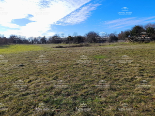 Zemljište - Prodaja - ISTARSKA - MARČANA - COKUNI