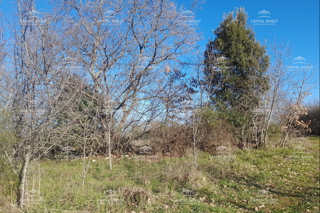 Zemljište - Prodaja - ISTARSKA - MARČANA - VELIKI VAREŠKI