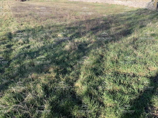 Land - Sale - ISTARSKA - BARBAN - BARBAN