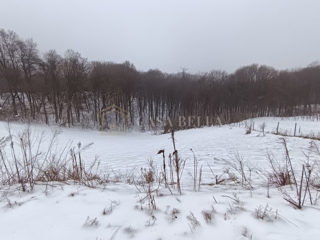 Land - Sale - MEĐIMURSKA - SVETI MARTIN NA MURI - GRKAVEŠČAK