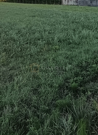 Zemljište - Prodaja - GRAD ZAGREB - ZAGREB - ĐURĐEKOVEC