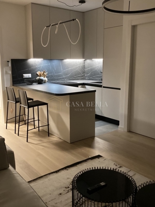 Flat - Rent - PRIMORSKO-GORANSKA - RIJEKA - KANTRIDA