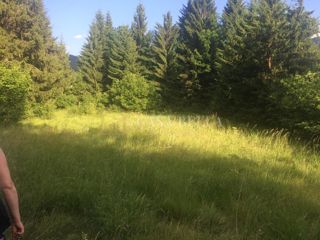 Land - Sale - PRIMORSKO-GORANSKA - DELNICE - LUČICE