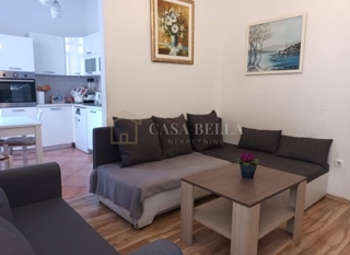 Flat - Rent - PRIMORSKO-GORANSKA - RIJEKA - RIJEKA