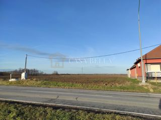 Land - Sale - OSJEČKO-BARANJSKA - VALPOVO - ŠAG