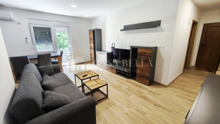 Flat - Rent - PRIMORSKO-GORANSKA - RIJEKA - ZAMET