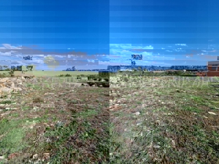 Zemljište - Prodaja - ZADARSKA - POLAČA - DONJA JAGODNJA