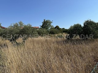 Zemljište - Prodaja - ZADARSKA - ZADAR - CRNO