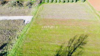 Zemljište - Prodaja - ISTARSKA - POREČ - POREČ