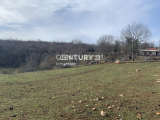 Zemljište - Prodaja - ISTARSKA - VIŠNJAN - RADOŠI KOD VIŠNJANA