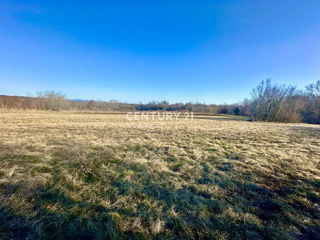 Land - Sale - ISTARSKA - ŽMINJ - ŽMINJ