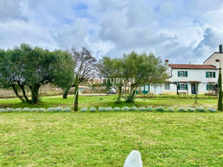 Haus - Verkauf - ISTARSKA - UMAG - UMAG