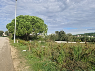 Zemljište - Prodaja - ZADARSKA - BIBINJE - BIBINJE