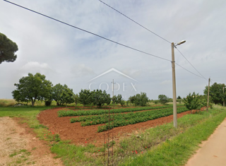 Land - Sale - ISTARSKA - KAŠTELIR - LABINCI - LABINCI