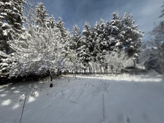 Zemljište - Prodaja - PRIMORSKO-GORANSKA - MRKOPALJ - MRKOPALJ