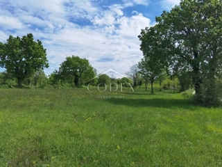 Land - Sale - ISTARSKA - VIŠNJAN - SVETI IVAN